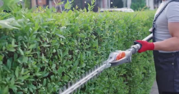 Jardinero caucásico profesional que trabaja con el cortador eléctrico moderno al aire libre. — Vídeos de Stock