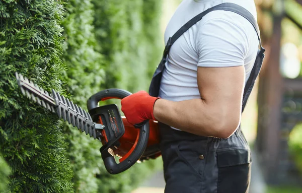 Close up of man shaping hedge with electric trimming machine — Foto de Stock