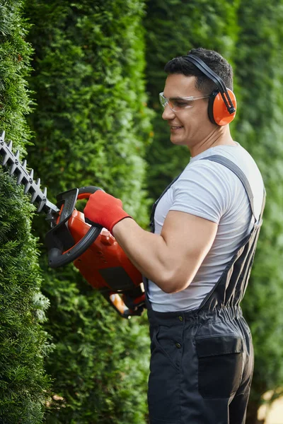 Caucasian man in overalls pruning hedge with electric cutter — Foto de Stock