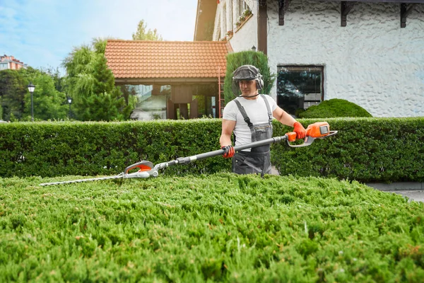 Gardener cutting bushes with electric hedge trimmer – stockfoto