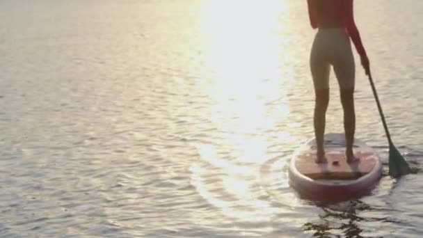 Close up of woman floating on paddle board during sunset — стоковое видео