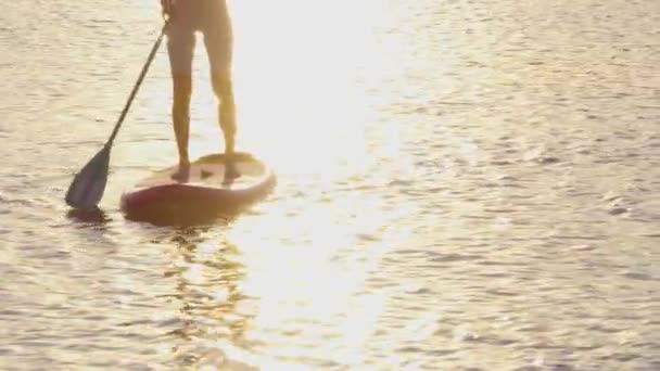 Silhouette of active woman swimming on paddle board – Stock-video