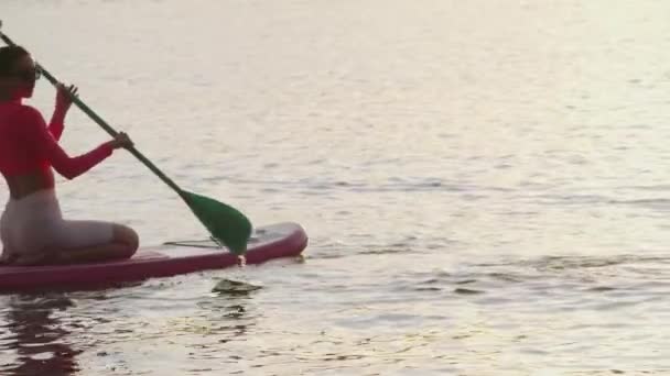 Ung kvinna flyter på sup board under sommaren solnedgången — Stockvideo