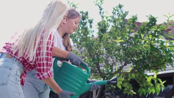 Krásná žena zalévání rostlin spolu s dospívající dívka v zahradě. — Stock video