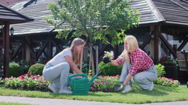 Vårdande mor plantera blommor med vacker dotter på bakgården. — Stockvideo