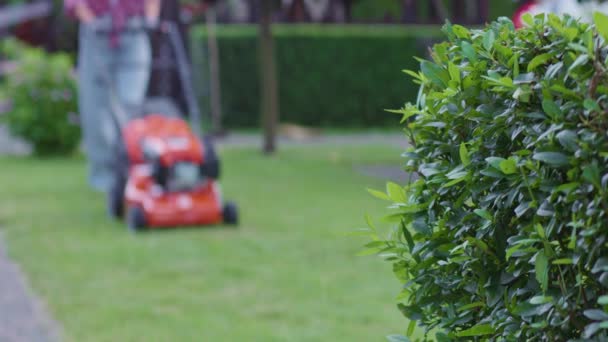 Aantrekkelijke vrouwelijke tuinman met gazonmaaier op de achtertuin in de zomer. — Stockvideo