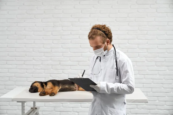 Férfi állatorvos gazdaság mappa jegyzetelés közelében alvó törzskönyv kiskutya a klinikán. — Stock Fotó