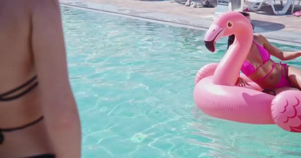 Ženy v sexy bikinách plavání na nafukovacím plameňáku v bazénu — Stock video