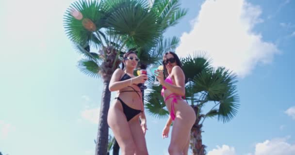 Mojado chicas sexy en traje de baño refrescante con bebidas al aire libre — Vídeo de stock