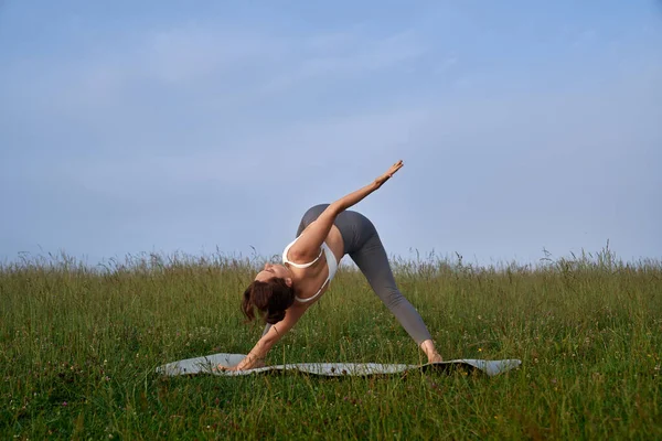 Femme en vêtements de sport ayant la pratique du yoga sur la nature — Photo