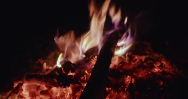 Dekat perapian terbakar di luar ruangan. Api besar memberikan cahaya, kehangatan di malam hari, kayu bakar terbakar dalam api intensif. Konsep coziness dan keindahan fenomena alam — Stok Video