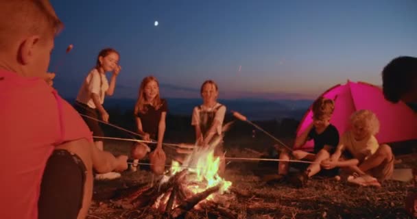 Ateşin etrafında oturan neşeli gençler kampta sosis kızartıyorlar.. — Stok video