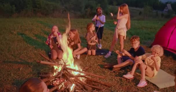 Grupp av barn som sitter runt elden i skymningen på landsbygden. — Stockvideo