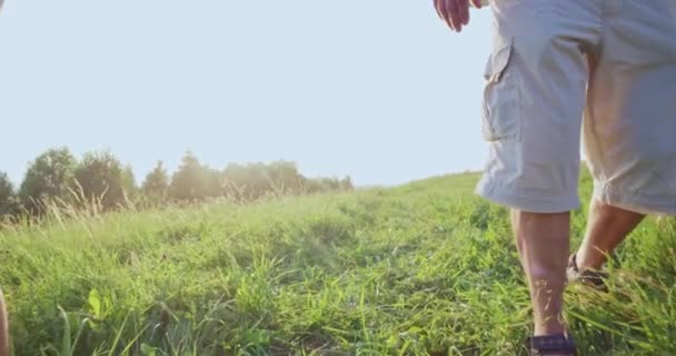 Far med fem barn går ner grön bergssluttning på sommaren. — Stockvideo