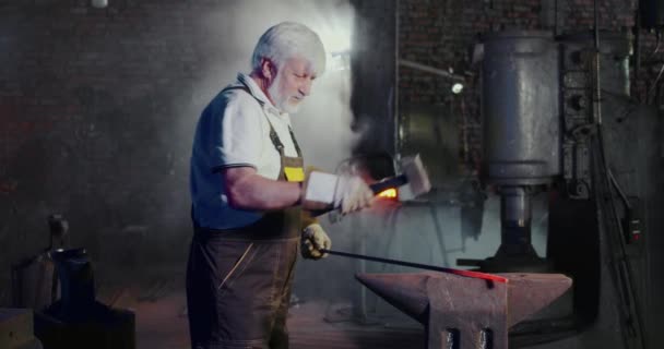 Atölyede Çalışan Yetenekli Demircinin Yan Görüntüsü Gri Saçlı Sakallı Yaşlı — Stok video