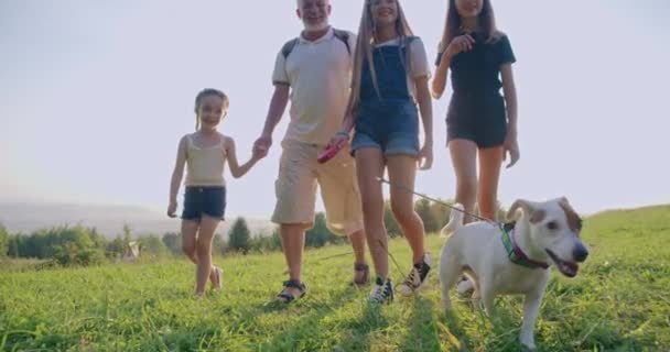 身着休闲装的男人和孩子们在绿地上漫步 背景是阳光普照 有胡子的父亲带着三个女儿和狗一起在农村度过时光 家庭的概念 — 图库视频影像
