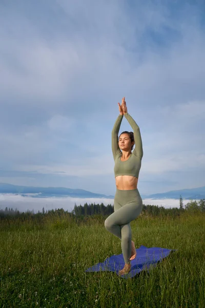 Fitness Giovane Signora Abiti Sportivi Avendo Pratica Yoga Tra Montagne — Foto Stock