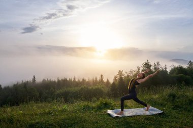 İnce vücutlu genç bir kadın sabah vakti dışarıda yoga yapıyor. Saçları örülü aktif bir kadın yaz boyunca düzenli olarak temiz hava alıyor..