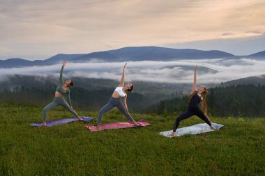 Spor elbiseli genç atletik kadınlar arka planda yaz dağlarıyla yoga yapıyorlar. Üç dişiden oluşan bir grup temiz havada antrenman yapıyor..