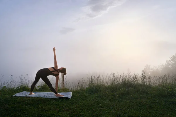 Aktive Frau Mit Langen Zöpfen Beim Morgendlichen Yoga Workout Inmitten — Stockfoto