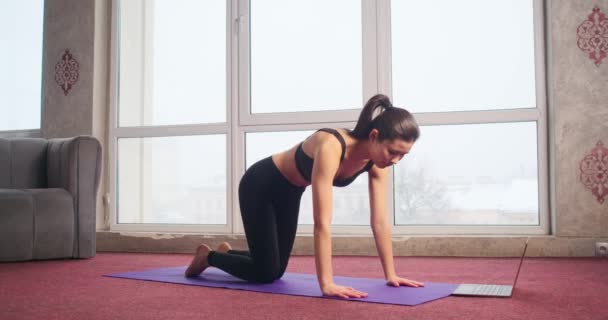 Side View Slim Sporty Brunette Girl Ponytail Doing Yoga Yoga — Stock Video