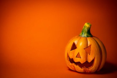 Turuncu arka planlı balkabağı kafası dekorasyonları