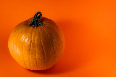 Kabak portakal arka plan ile