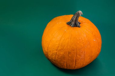 Yeşil arkaplanı olan balkabağı