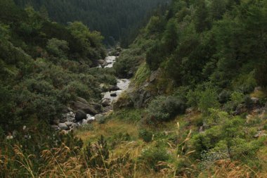 Dağ deresi Transfagarasan, Transilvanya, Romanya