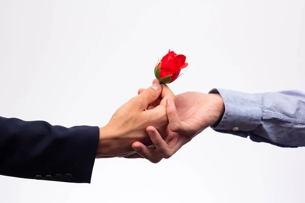 Mão Homem Num Casaco Estende Uma Rosa Para Mão Outro — Fotografia de Stock