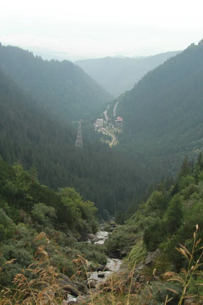 Mountain Stream Transfagarasan Transilvânia Roménia — Fotografia de Stock