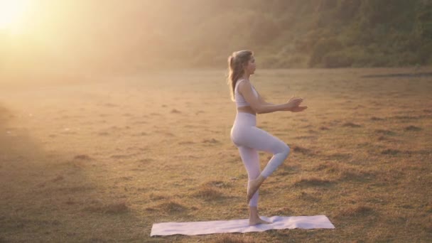 Femme gardant la forme avec l'entraînement extérieur au coucher du soleil — Video