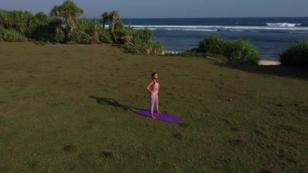 Foto Udara Dari Seorang Wanita Muda Yang Akan Berolahraga Sendirian — Stok Video