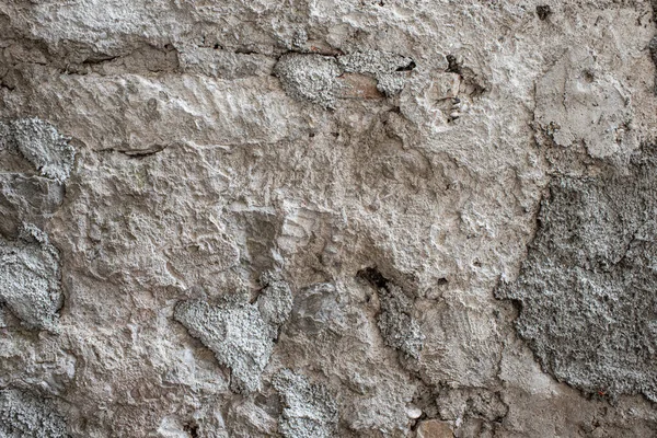 Dağlık bir arazide beton ve taştan yapılmış Gabion istinat duvarı