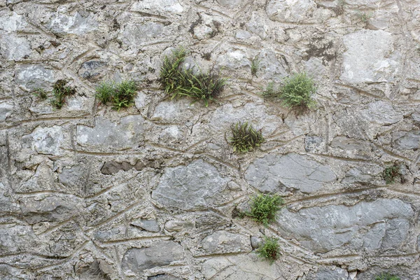 Dağlık bir arazide beton ve taştan yapılmış Gabion istinat duvarı