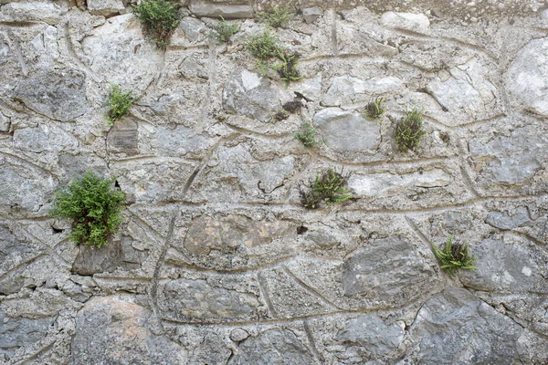 Dağlık bir arazide beton ve taştan yapılmış Gabion istinat duvarı