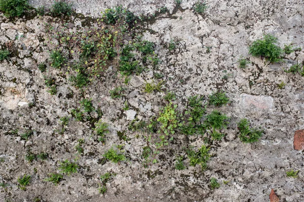 Dağlık bir arazide beton ve taştan yapılmış Gabion istinat duvarı