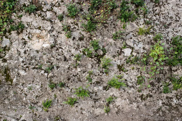 Dağlık bir arazide beton ve taştan yapılmış Gabion istinat duvarı