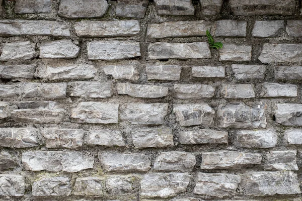Dağlık bir arazide beton ve taştan yapılmış Gabion istinat duvarı