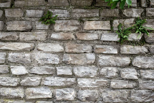 Dağlık bir arazide beton ve taştan yapılmış Gabion istinat duvarı