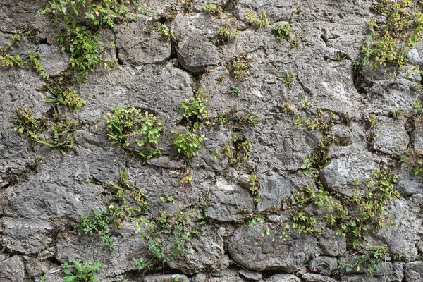 Dağlık bir arazide beton ve taştan yapılmış Gabion istinat duvarı