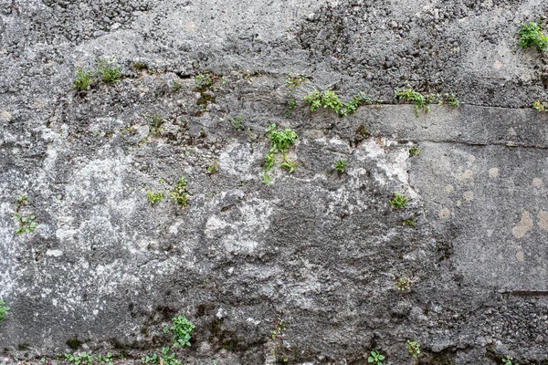 Dağlık bir arazide beton ve taştan yapılmış Gabion istinat duvarı