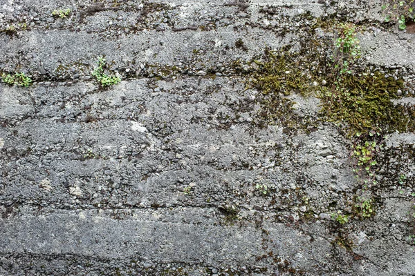 Dağlık bir arazide beton ve taştan yapılmış Gabion istinat duvarı