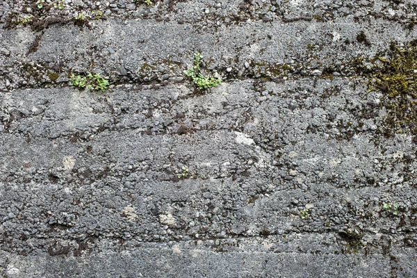 Dağlık bir arazide beton ve taştan yapılmış Gabion istinat duvarı