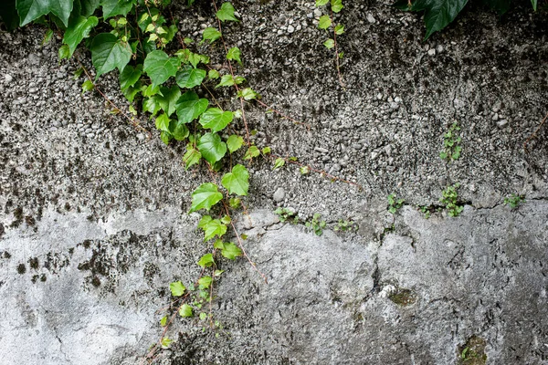 Dağlık bir arazide beton ve taştan yapılmış Gabion istinat duvarı