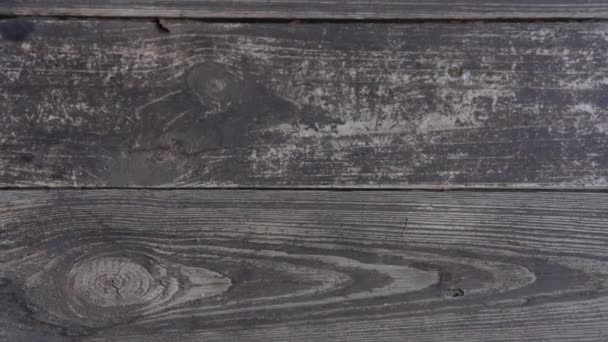 Vieille texture rustique en bois foncé gris noir — Video