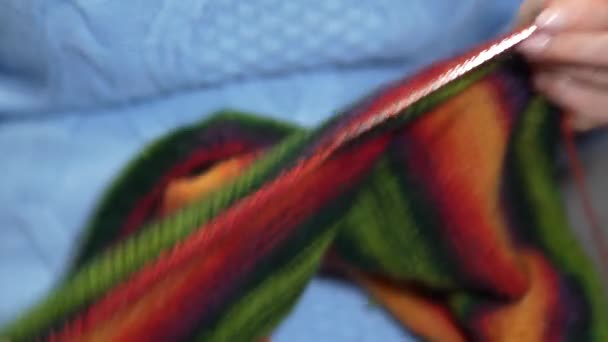 Mãos Das Mulheres Tricotar Camisola Cor Com Agulhas Tricô Vista — Vídeo de Stock