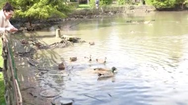 Bir kız çiftlik havuzunda ördekleri besler.