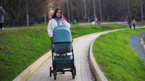 Mama cu cărucior pentru copii pe jos în parc cu iaz — Videoclip de stoc