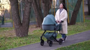 Anne ve bebek arabası sonbaharda parkta yürüyüşe çıkmış.